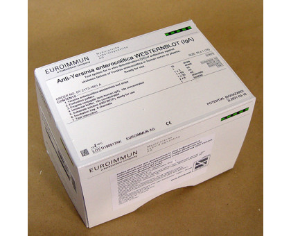 DY2173-1601A Иерсиния энтероколитика IgA, иммуноблот
