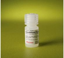 20343 Реагент "Immobilized Pepsin (Agaroze Resin), 5 мл