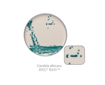 CM1002-1-SF Агар хромогенный для Candida