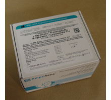B25(RG,iQ,FEP) «АмплиСенс® N. meningitidis/ H. influenzae/ S. pneumoniae-FL»