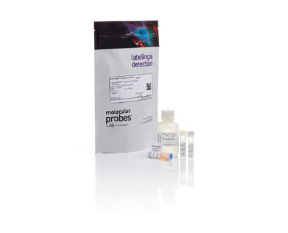 00-00010620  Q32851 Набор реагентов QUBIT dsDNA HS Assay Kit,100 реакций